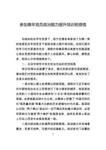 參加青年黨員政治能力提升培訓班感悟