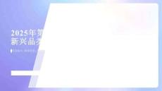 2025年第四季度新興品類簡報