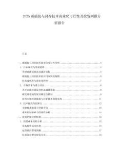 2025碳捕捉與封存技術(shù)商業(yè)化可行性及投資回報分析報告