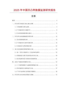 2025年中國凹凸帶數據監測研究報告