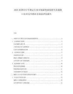 2025亞洲自行車鎖定行業(yè)市場演變深度研究及地鐵口公共安全的社會效益評估報告