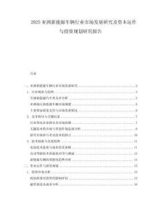 2025亞洲新能源車輛行業(yè)市場發(fā)展研究及資本運作與投資規(guī)劃研究報告
