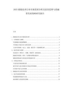 2025儲能技術(shù)行業(yè)市場發(fā)展分析及前景趨勢與投融資發(fā)展策略研究報告
