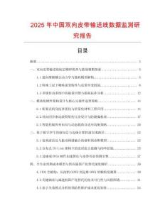 2025年中國雙向皮帶輸送線數據監測研究報告