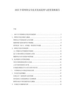 2025中國網(wǎng)絡(luò)安全技術(shù)發(fā)展趨勢與投資策略報(bào)告