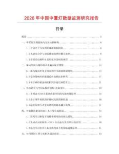 2026年中國中置燈數據監測研究報告