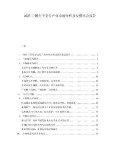 2025中國電子支付產(chǎn)業(yè)市場分析及投資機(jī)會報告