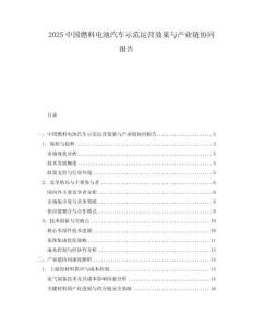 2025中國燃料電池汽車示范運(yùn)營效果與產(chǎn)業(yè)鏈協(xié)同報(bào)告