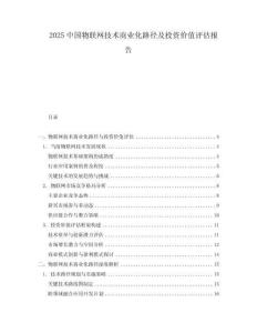 2025中國物聯(lián)網(wǎng)技術(shù)商業(yè)化路徑及投資價值評估報告