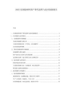 2025光刻膠材料國產(chǎn)替代進程與技術創(chuàng)新報告
