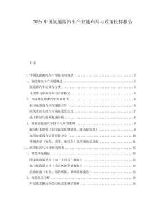 2025中國氫能源汽車產(chǎn)業(yè)鏈布局與政策扶持報(bào)告