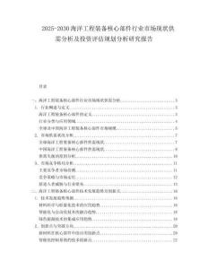 2025-2030海洋工程裝備核心部件行業(yè)市場現(xiàn)狀供需分析及投資評估規(guī)劃分析研究報告