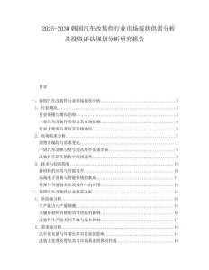 2025-2030韓國汽車改裝件行業(yè)市場現(xiàn)狀供需分析及投資評估規(guī)劃分析研究報告