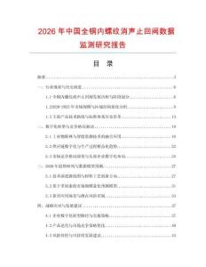 2026年中國全銅內螺紋消聲止回閥數據監測研究報告