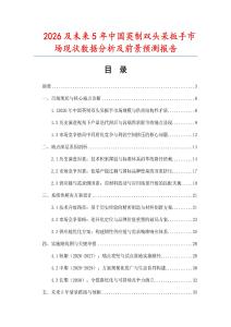 2026及未來5年中國英制雙頭呆扳手市場現狀數據分析及前景預測報告