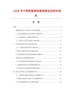 2026年中國(guó)側(cè)壁燃燒器數(shù)據(jù)監(jiān)測(cè)研究報(bào)告