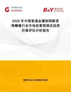 2026年中國普通金屬制耶穌受難雕像行業(yè)市場前景預(yù)測及投資價(jià)值評估分析報(bào)告
