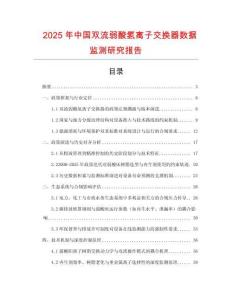 2025年中國雙流弱酸氫離子交換器數(shù)據(jù)監(jiān)測研究報(bào)告