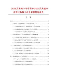 2026及未來5年中國PMMA反光鏡市場現狀數據分析及前景預測報告