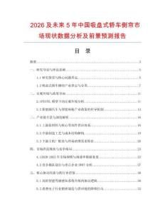 2026及未來5年中國吸盤式轎車側簾市場現狀數據分析及前景預測報告