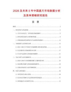 2026及未來5年中國直尺市場數據分析及競爭策略研究報告