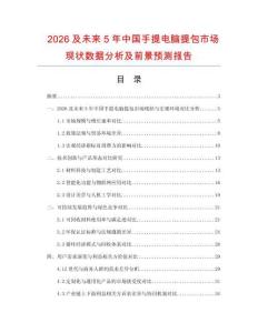 2026及未来5年中国手提电脑提包市场现状数据分析及前景预测报告