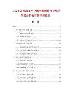 2026及未來5年中國氣幕噴管市場現狀數據分析及前景預測報告