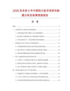 2026及未來5年中國扭力批市場現(xiàn)狀數(shù)據(jù)分析及前景預(yù)測報告