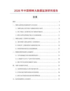 2026年中國鋼鑄丸數據監測研究報告