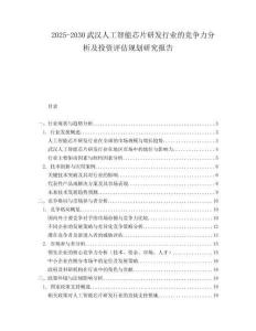 2025-2030武漢人工智能芯片研發(fā)行業(yè)的競(jìng)爭(zhēng)力分析及投資評(píng)估規(guī)劃研究報(bào)告