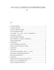 2025-2030無(wú)人駕駛技術(shù)行業(yè)市場(chǎng)供需格局分析報(bào)告