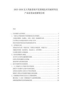 2025-2030無人駕駛系統(tǒng)開發(fā)領(lǐng)域技術(shù)突破研判及產(chǎn)業(yè)前景深度解鎖分析