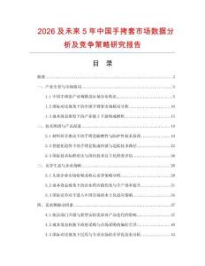 2026及未來5年中國手拷套市場數據分析及競爭策略研究報告
