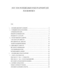2025-2030西亞能源運輸業(yè)市場競爭態(tài)勢剖析及投資決策調研報告