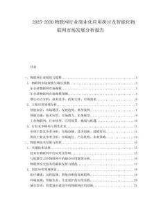 2025-2030物聯(lián)網(wǎng)行業(yè)商業(yè)化應(yīng)用探討及智能化物聯(lián)網(wǎng)市場(chǎng)發(fā)展分析報(bào)告