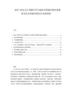 2025-2030無人駕駛汽車行駛技術領域市場環境調查及自動駕駛發展存在風險規劃