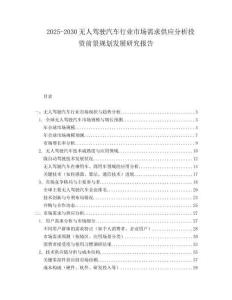 2025-2030無人駕駛汽車行業(yè)市場需求供應(yīng)分析投資前景規(guī)劃發(fā)展研究報告