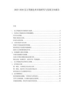 2025-2030無人駕駛技術(shù)市場研究與發(fā)展方向報告