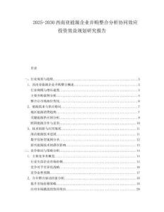 2025-2030西南亞能源企業(yè)并購(gòu)整合分析協(xié)同效應(yīng)投資效益規(guī)劃研究報(bào)告
