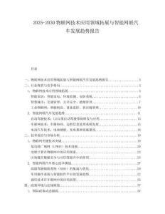 2025-2030物聯(lián)網(wǎng)技術(shù)應(yīng)用領(lǐng)域拓展與智能網(wǎng)聯(lián)汽車(chē)發(fā)展趨勢(shì)報(bào)告