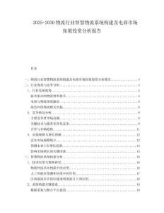 2025-2030物流行業(yè)智慧物流系統(tǒng)構(gòu)建及電商市場(chǎng)拓展投資分析報(bào)告