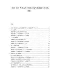 2025-2030西亞天然氣資源開發(fā)與新能源應(yīng)用市場(chǎng)分析