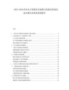 2025-2030西非電子消費(fèi)品市場潛力挖掘及渠道改造及增長前景的系統(tǒng)報(bào)告