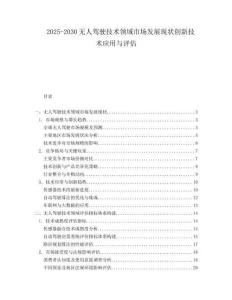 2025-2030無(wú)人駕駛技術(shù)領(lǐng)域市場(chǎng)發(fā)展現(xiàn)狀創(chuàng)新技術(shù)應(yīng)用與評(píng)估