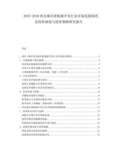2025-2030西北地區(qū)新能源開發(fā)行業(yè)市場發(fā)展現(xiàn)狀及投資規(guī)劃與投資策略研究報告
