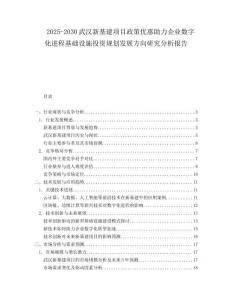 2025-2030武漢新基建項(xiàng)目政策優(yōu)惠助力企業(yè)數(shù)字化進(jìn)程基礎(chǔ)設(shè)施投資規(guī)劃發(fā)展方向研究分析報(bào)告