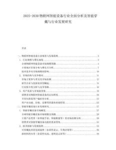 2025-2030物聯(lián)網(wǎng)智能設(shè)備行業(yè)全面分析及智能穿戴與行業(yè)發(fā)展研究
