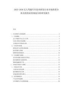 2025-2030無人駕駛汽車技術(shù)研發(fā)行業(yè)市場供需分析及投資前景規(guī)劃分析研究報(bào)告