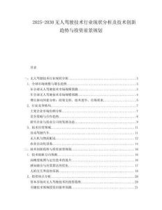 2025-2030無人駕駛技術(shù)行業(yè)現(xiàn)狀分析及技術(shù)創(chuàng)新趨勢(shì)與投資前景規(guī)劃