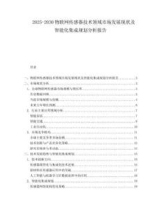 2025-2030物聯(lián)網(wǎng)傳感器技術(shù)領(lǐng)域市場(chǎng)發(fā)展現(xiàn)狀及智能化集成規(guī)劃分析報(bào)告